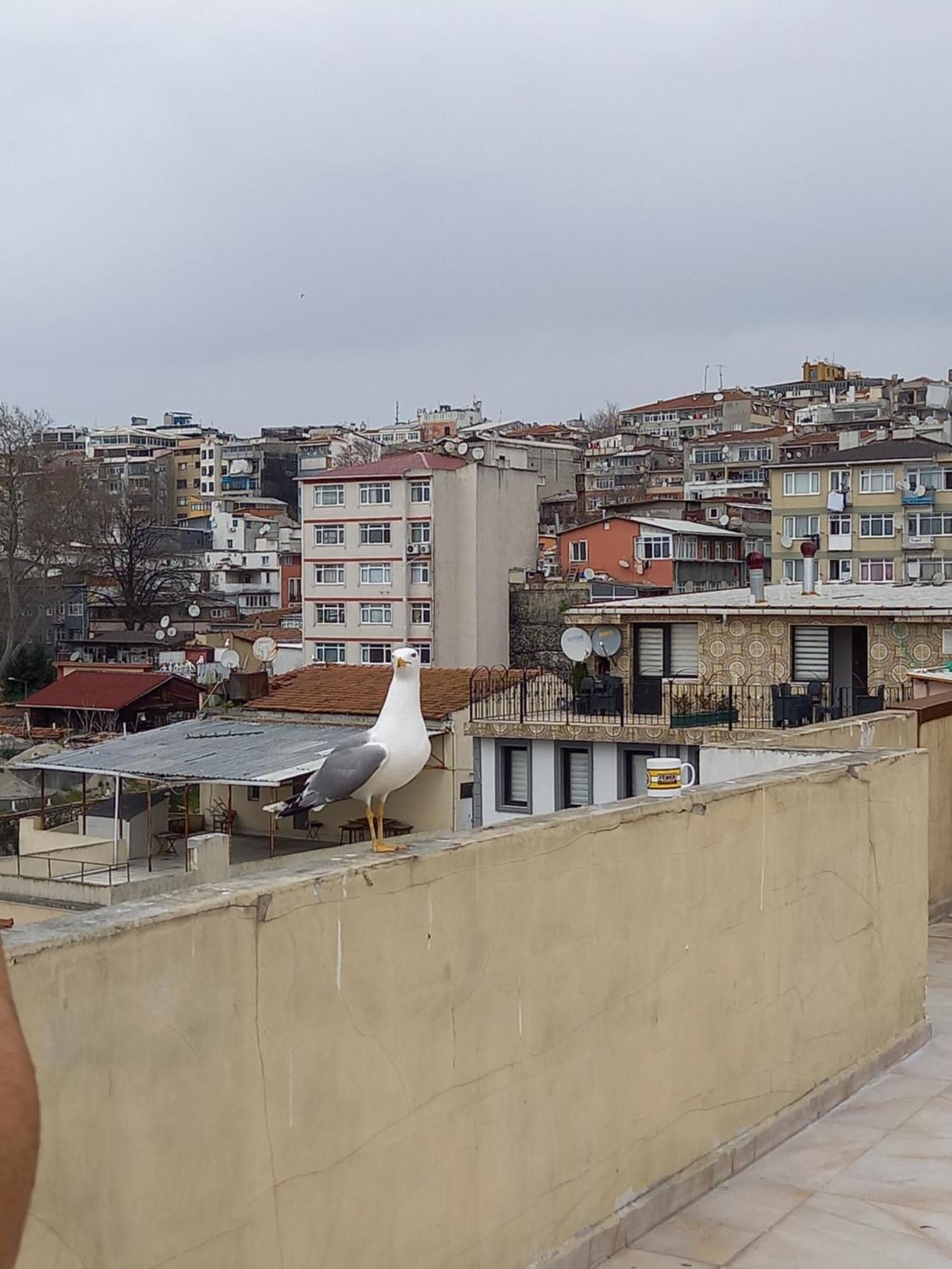 Avsin Residence Istanbul Eksteriør bilde
